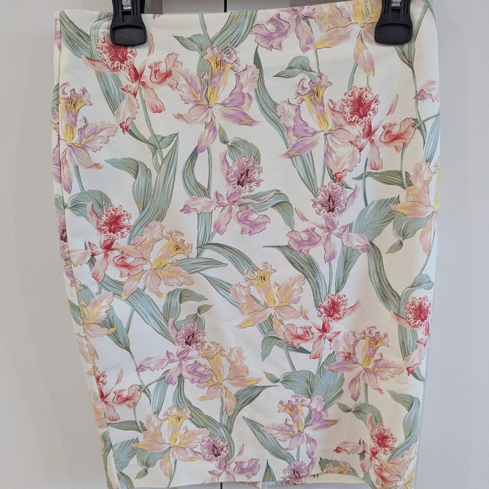 Ann Taylor Pencil Skirt